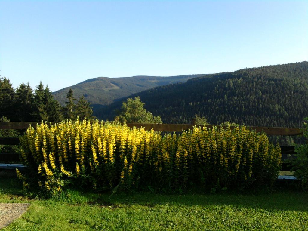 Penzion Kobr Pec pod Snezkou Exteriör bild